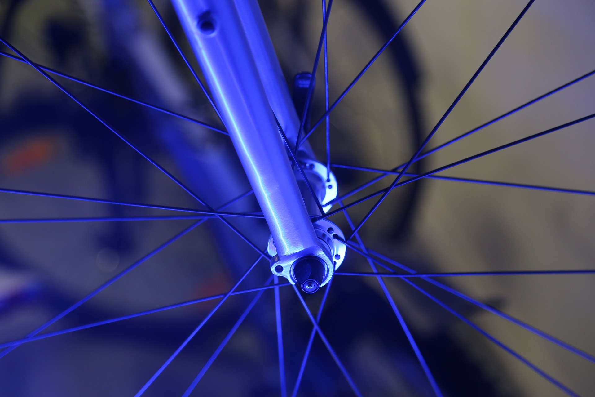 Bicycle Spokes 242558 1920